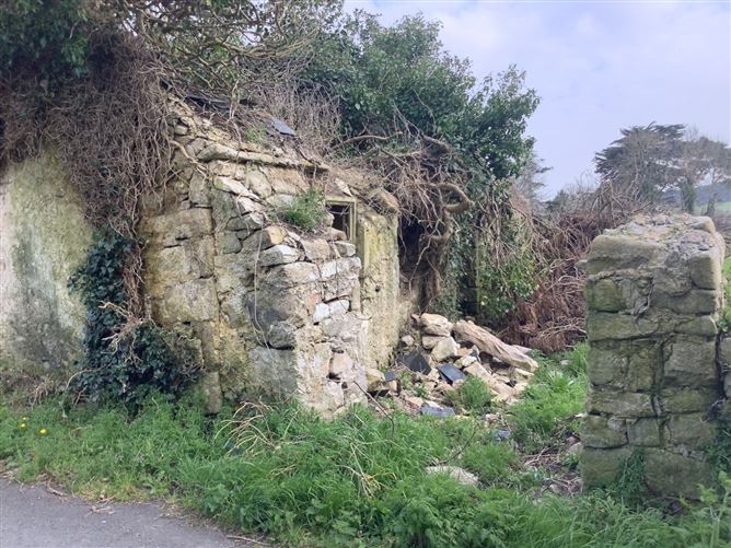Dranagh, St. Mullin's, Co. Carlow.