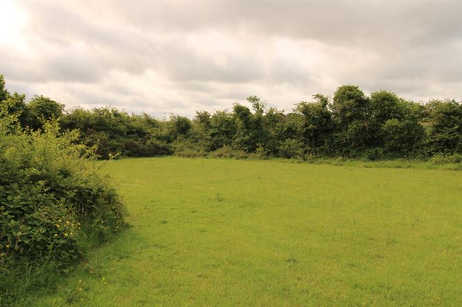 Four Winds Raheendarrig, Monamolin, Wexford