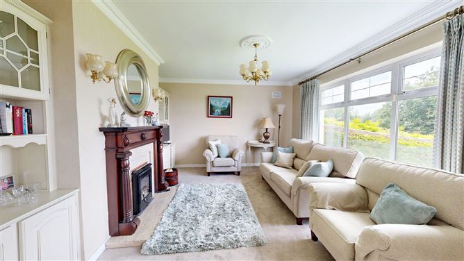 Abbeyleix Road, Ballyroan, Laois
