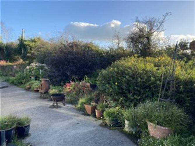 Ruanmore, Kilmuckridge, Wexford