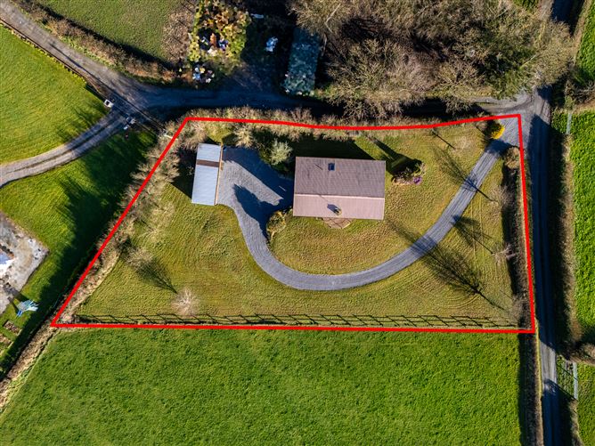 Butterfly Meadow, Rath Beg, Sharavogue, Birr, Co. Offaly