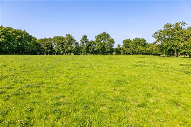 Lot 2 - North Land At Lisnavagh, Lisnavagh, Co. Carlow