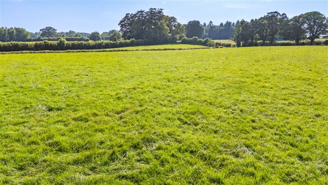 Lot 2 - North Land At Lisnavagh, Lisnavagh, Co. Carlow