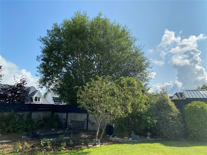 No. 9 Brookfield, Carnew, Wicklow