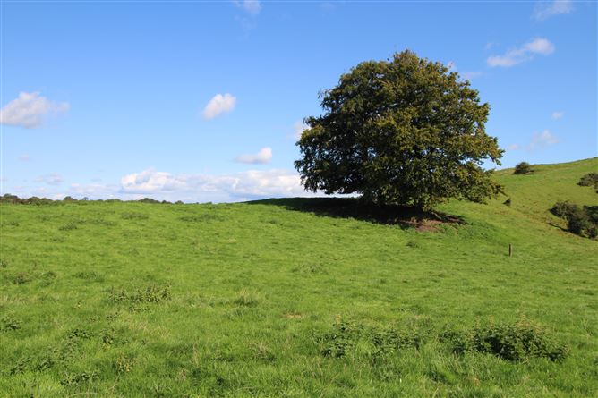 Raheenmore, Tyrrellspass, Westmeath