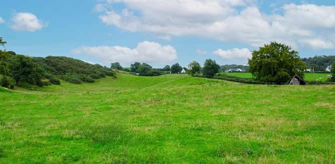 Raheenmore, Tyrrellspass, Westmeath