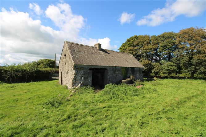 Raheenmore, Tyrrellspass, Westmeath