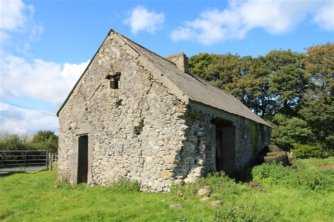 Raheenmore, Tyrrellspass, Westmeath