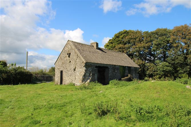 Raheenmore, Tyrrellspass, Westmeath