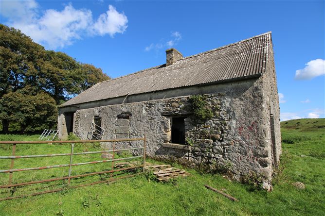 Raheenmore, Tyrrellspass, Westmeath