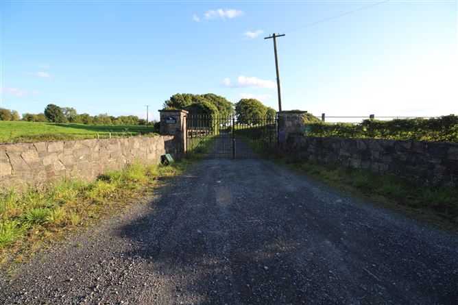 Raheenmore, Tyrrellspass, Westmeath