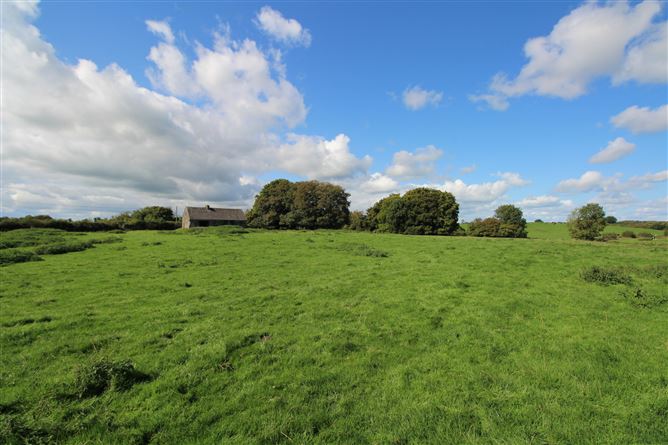 Raheenmore, Tyrrellspass, Westmeath