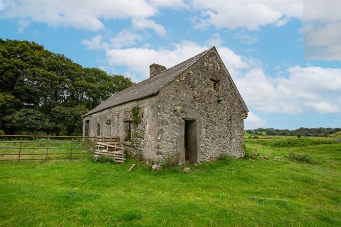 Raheenmore, Tyrrellspass, Westmeath