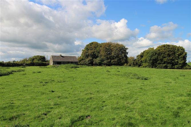 Raheenmore, Tyrrellspass, Westmeath