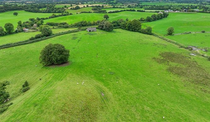 Raheenmore, Tyrrellspass, Westmeath