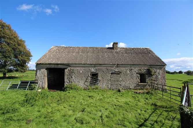 Raheenmore, Tyrrellspass, Westmeath
