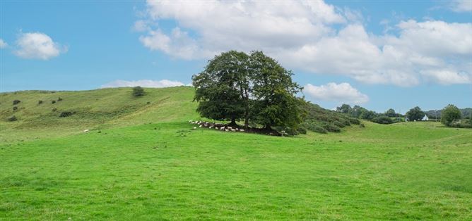 Raheenmore, Tyrrellspass, Westmeath