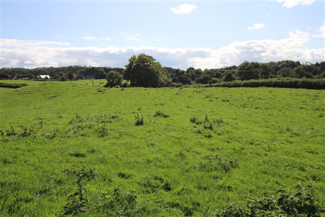Raheenmore, Tyrrellspass, Westmeath