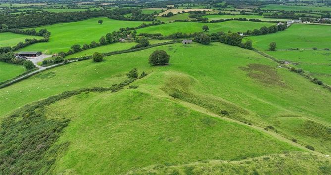 Raheenmore, Tyrrellspass, Westmeath