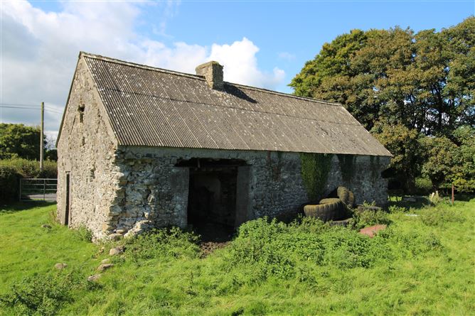 Raheenmore, Tyrrellspass, Westmeath