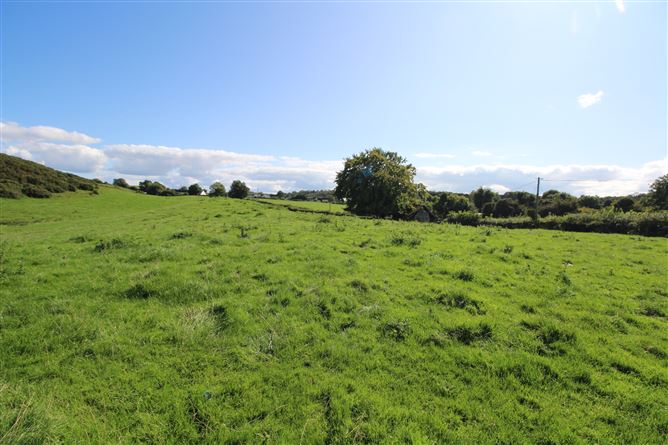 Raheenmore, Tyrrellspass, Westmeath