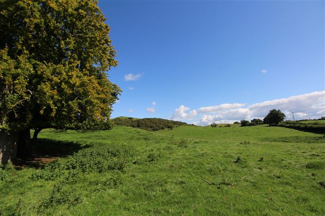 Raheenmore, Tyrrellspass, Westmeath