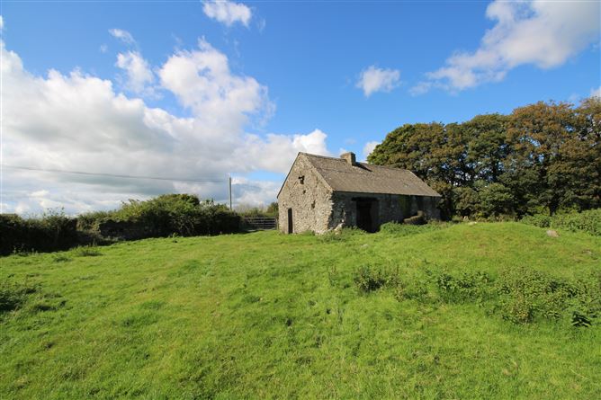 Raheenmore, Tyrrellspass, Westmeath