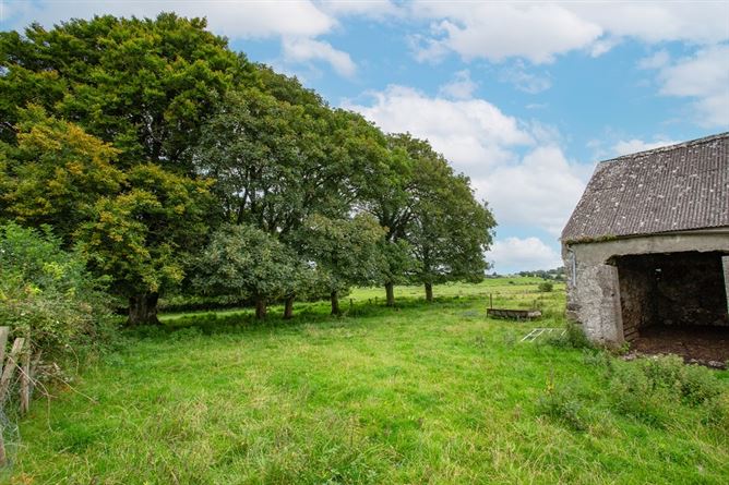 Raheenmore, Tyrrellspass, Westmeath