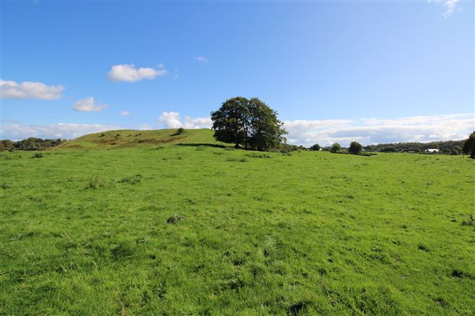 Raheenmore, Tyrrellspass, Westmeath