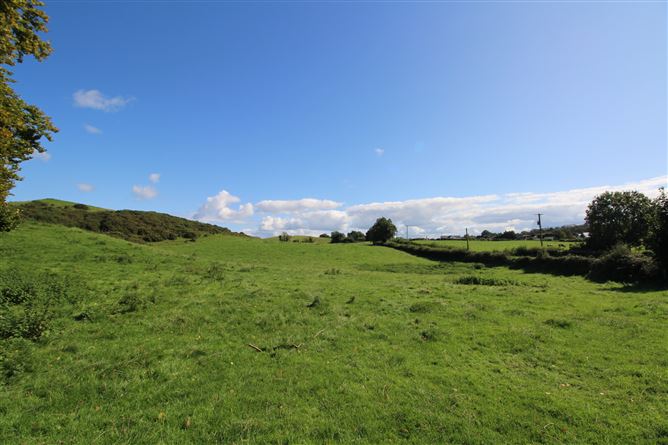 Raheenmore, Tyrrellspass, Westmeath