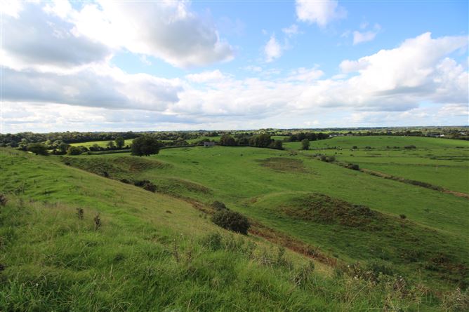 Raheenmore, Tyrrellspass, Westmeath
