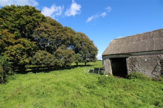Raheenmore, Tyrrellspass, Westmeath