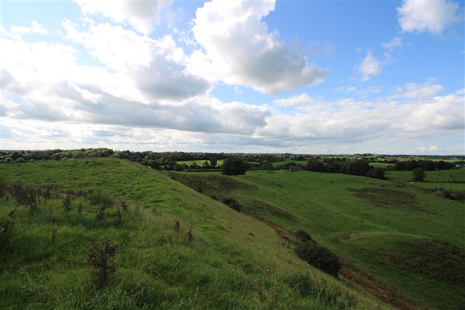 Raheenmore, Tyrrellspass, Westmeath