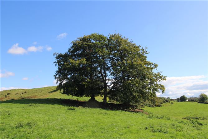 Raheenmore, Tyrrellspass, Westmeath