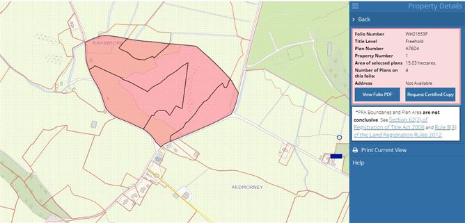 Raheenmore, Tyrrellspass, Westmeath