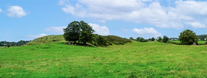 Raheenmore, Tyrrellspass, Westmeath
