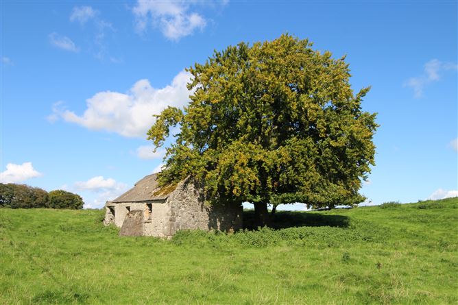 Raheenmore, Tyrrellspass, Westmeath