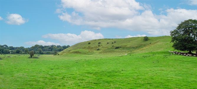 Raheenmore, Tyrrellspass, Westmeath