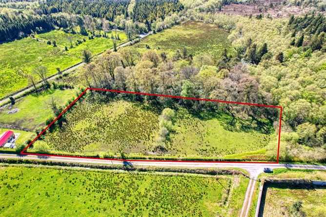 Curryline, Newtownforbes, Co. Longford