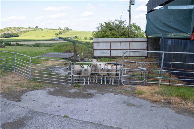 Killinstown, Multyfarnham, Westmeath