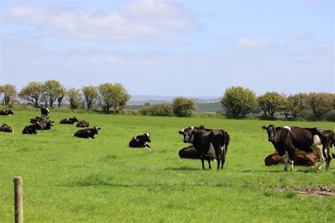 Photo 32 of 33 — Knockbrown, Bandon, Co. Cork, Bandon, Cork