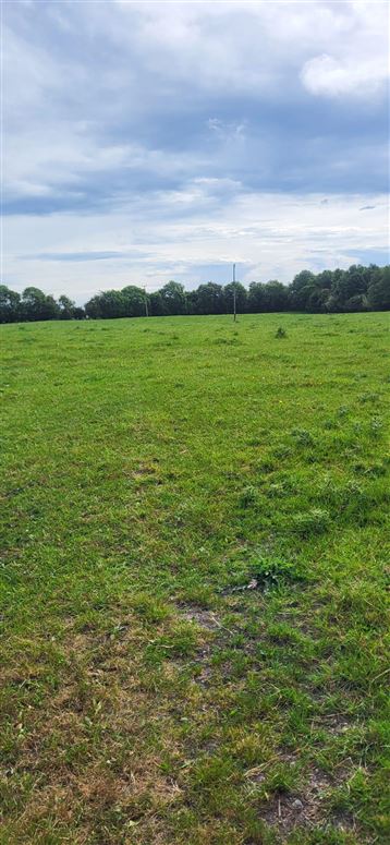 Calverstown Little, Calverstown, Kildare