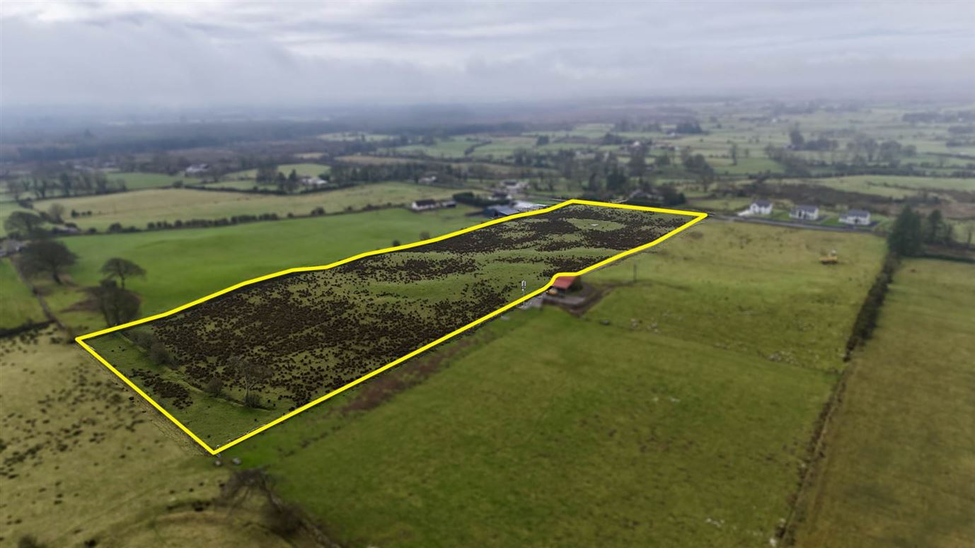 11.26 Acres, Carrowmore, Woodlawn, Ballinasloe, Galway
