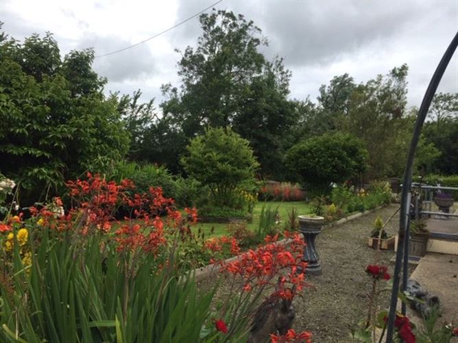 Scurlocksbush, Oilgate, Co. Wexford