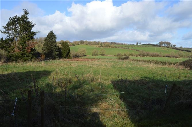 Tinnascart, Buttevant, Co. Cork