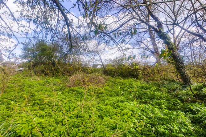Baylestown, Ballycullane, Wexford