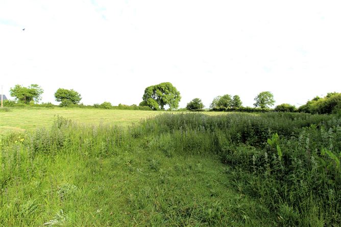 Luganiska, Kilcormac, Co. Offaly