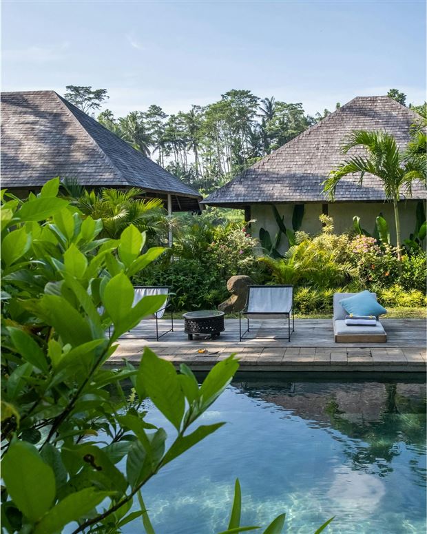 Jungle Oasis,Blahbatuh,Bali,Indonesia