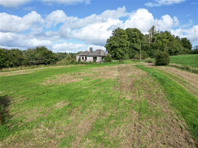 Mill Road, Ballinunty, Thurles, Co.Tipperary