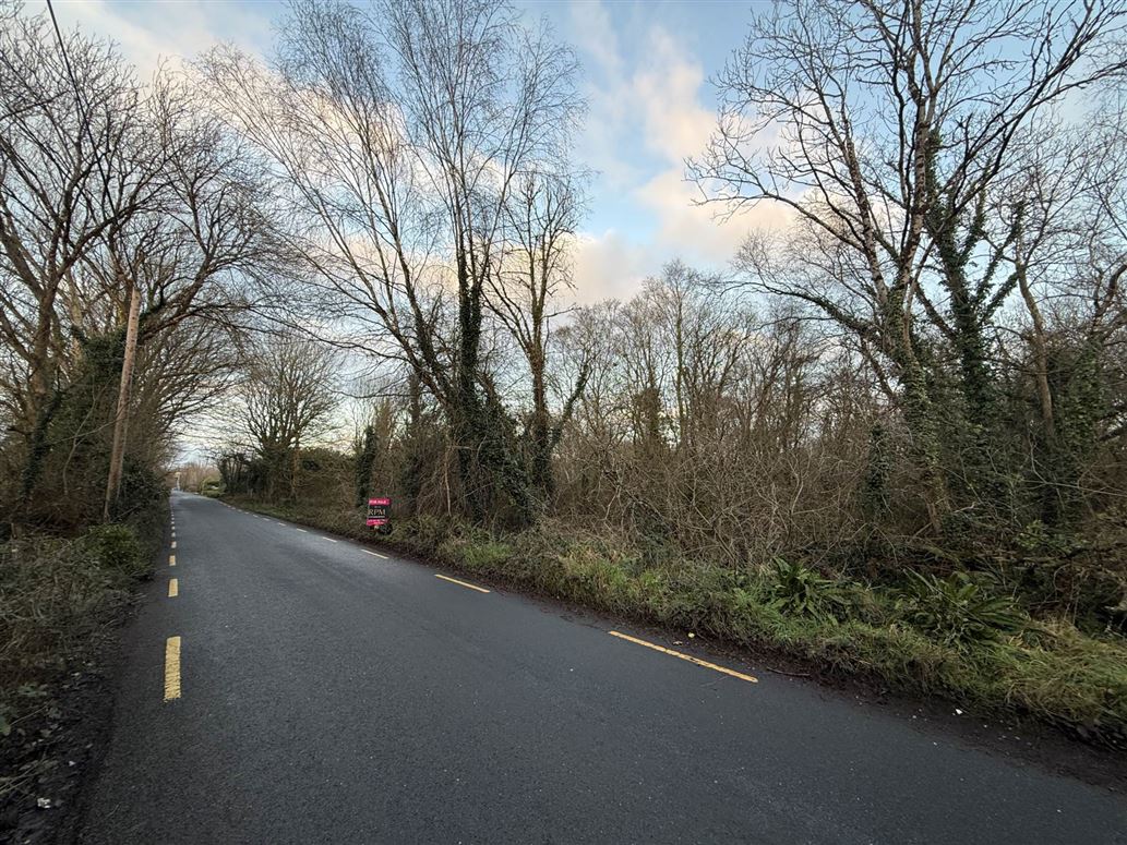 Garden Hill, Castleconnell, County Limerick